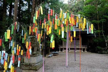 Left-over Tanabata decorations