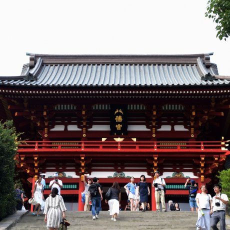 Core of Kamakura, Hachimangu Shrine