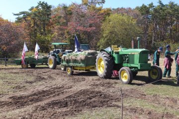 John Deer Tractors