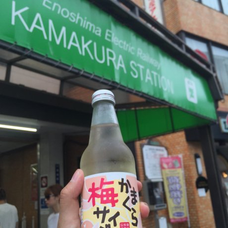 Kamakura Ume Cider