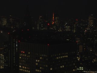 Từ tòa nhà chính quyền Tokyo, bạn có thể chiêm ngưỡng tháp truyền hình Tokyo