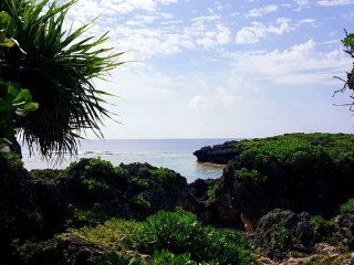Le Cap Manzamo à Okinawa