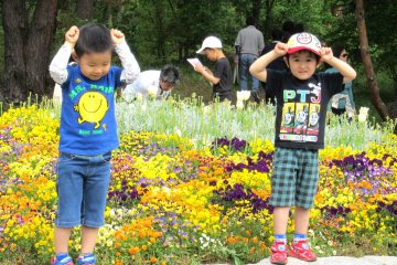 May 5 was the Boy's Holiday in Japan
