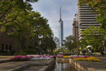 The tower seen from near the Fukuoka City Museum