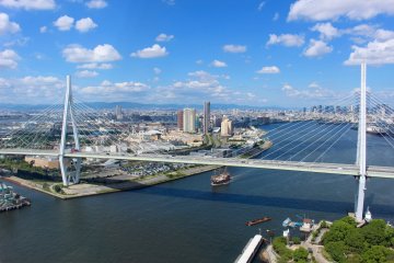 从天保山摩天轮上看到的大阪市中心的景色。