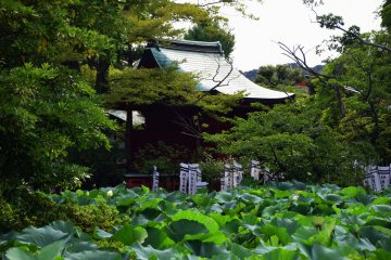 Benzai-ten shrine on Genji-ike Pond (right/east side pond)