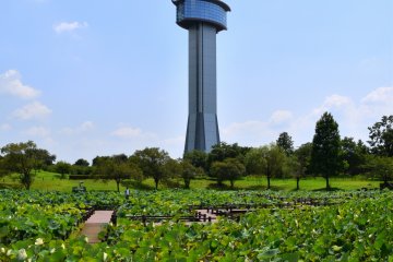 This observation tower was modeled after a lotus flower which blooms high toward the sky
