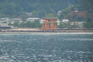 Torii from a distance
