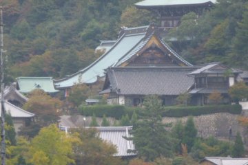 Many  shrines and temples