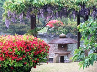 Japanese landscape garden
