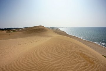 Where the sky meets the sand or ocean