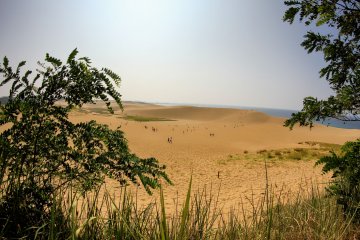 On the east side, you can see the dunes through some trees