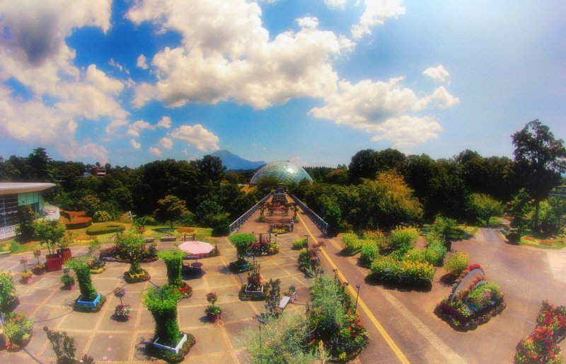 Цветочный парк выглядит волшебно на фоне горы Дайсэн