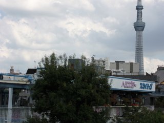 La vue sur la Tokyo Sky Tree