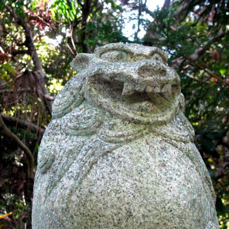 Những bức tượng sư tử Komainu