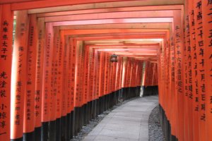 Highlights from my trip: a visit to Fushimi Inari Shrine