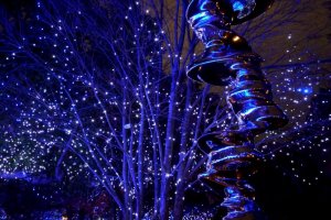 “Starlight Garden” สวนหลังอาคารโตเกียว มิดทาวน์ จะถูกเนรมิตให้เป็นสวนสวรรค์ 