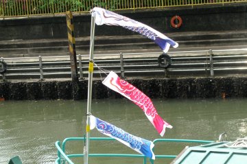 Карпы, надувающиеся от ветра - традиционное украшение к празднику мальчиков Кодомо но хи (5 мая)