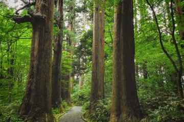 Mount. Haguro has been awarded 3 stars by the Michelin Green Guide