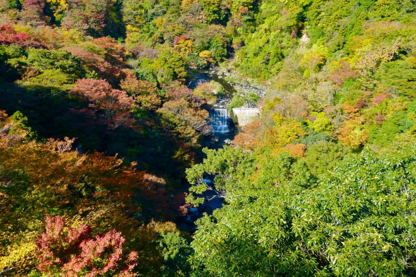 秋色の早川渓谷
