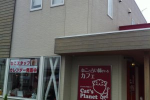 Cat's Planet cat cafe in Takasaki