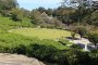 사바에 니시야마 공원과 너구리판다