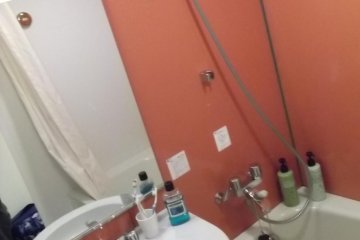 <p>My bathroom</p>