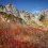  Mount Kiso-koma's Autumn Colors