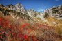  Mount Kiso-koma's Autumn Colors