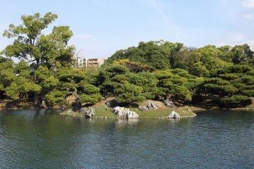 Another island in the south garden