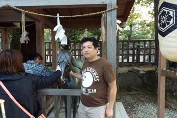 Tetsu rubbing the horses nose for good luck at Izumo Taisha Grand Shrine