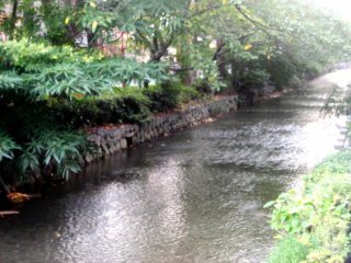 Gentle Stream of Kiyomachi