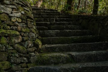 Charming countryside steps