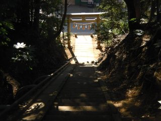 Cầu thang dẫn vào đền