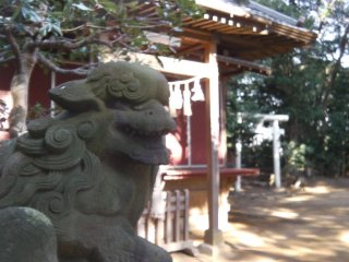 Guardian of the shrine