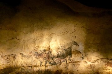 'Black bulls' is one of the main attractions of Lascaux exhibition in Tokyo