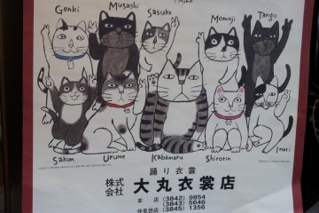 Cat calendar more your style?