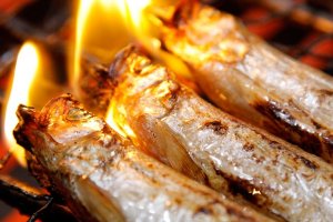 Grilled fish!