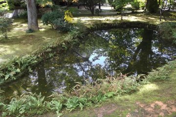 Reflections in the still, clear pond
