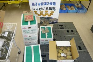 Potatoes from Yushi Village