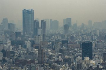 A hazy day from the Tokyo Metropolitan Government Building