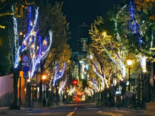 Kitano Christmas Street
