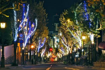 Kobe Kitano Christmas Street