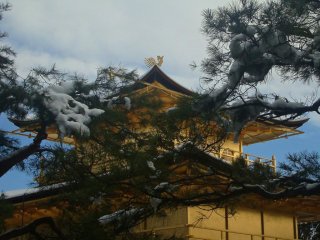 Les arbres couverts de neige, tout autour du pavillon