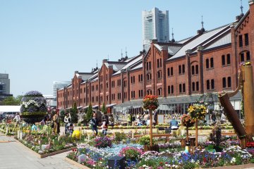 Flower garden displays are held several times a year
