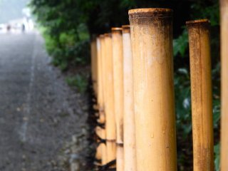 Uma fotografia de perto da cerca de bambu