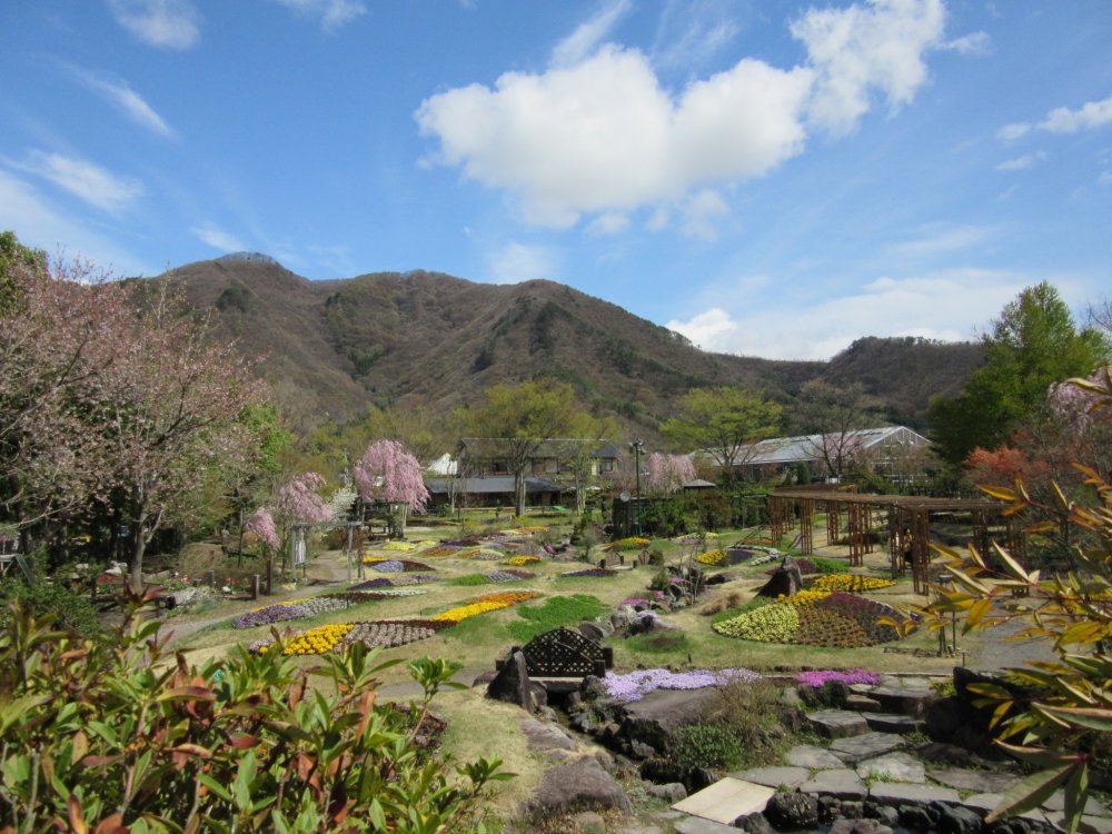 The view to Obuse Floral Garden in early spring