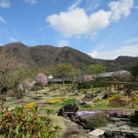 Vườn hoa Obuse