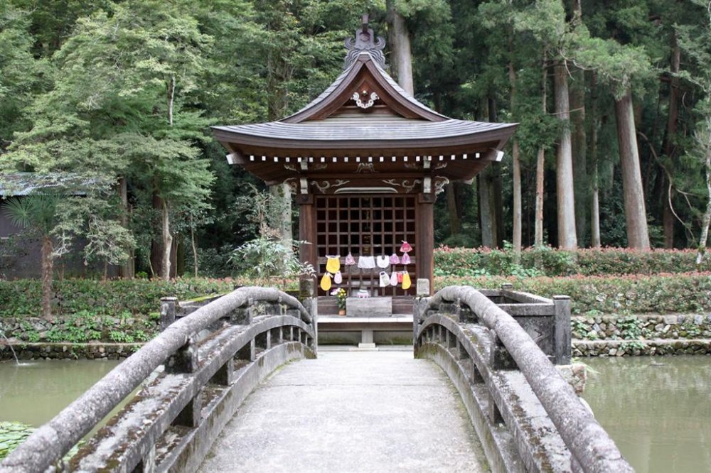 A small temple is surrounded by a koi fish pond & lillypads