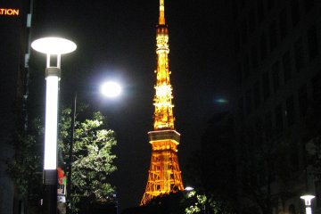 Wonderfully lit Tokyo Tower is seen from afar